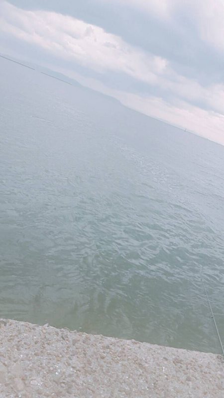 サヨリ大当たり！