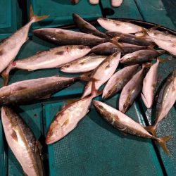 アンダーベイト