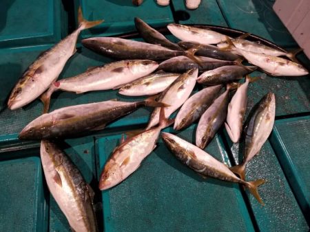 アンダーベイト