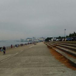 昨日は休みを取って行ったのに朝から芦屋南浜はぎっしり満員何とか一人入れるスペースがありましたが