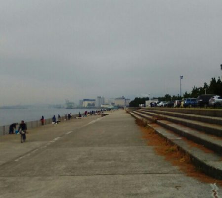 昨日は休みを取って行ったのに朝から芦屋南浜はぎっしり満員何とか一人入れるスペースがありましたが