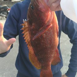 マイクロジギング