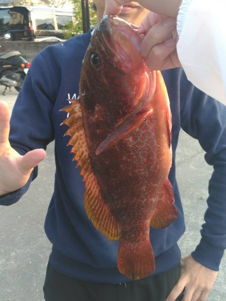 マイクロジギング