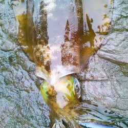 山はゆき～寒～！