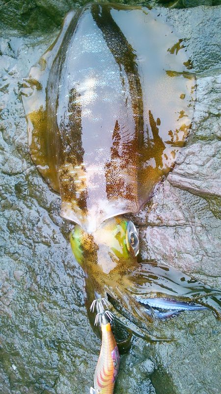 山はゆき～寒～！