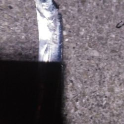 久しぶりのハマチ！とタチウオ