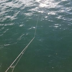 秋アオリ調査も終盤❗