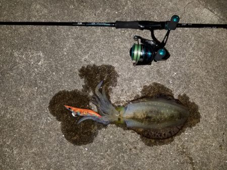 浅川マキ沖堤防にて