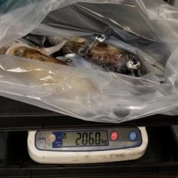 今シーズン初2キロアップ