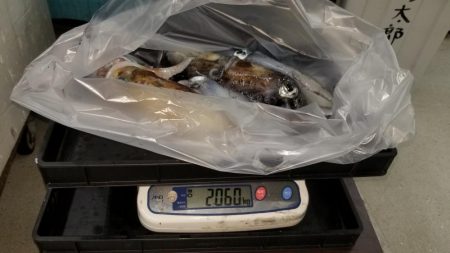 今シーズン初2キロアップ