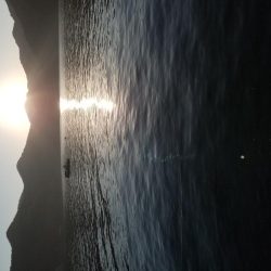 今年のアオリイカ竿納め