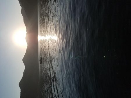 今年のアオリイカ竿納め