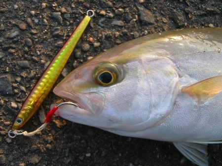 ショアジギングでネイリ