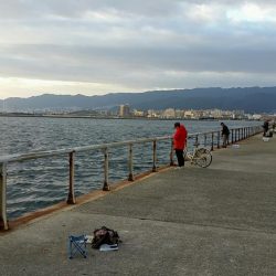 ホームの浜タチウオ復調。朝5夕5のツ抜け達成！