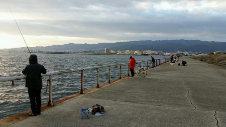 ホームの浜タチウオ復調。朝5夕5のツ抜け達成！