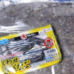 タチウオの地合い短いですね