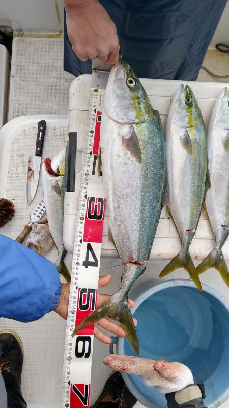 ジギング反応悪し