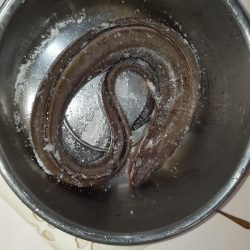 こんなん初めて！でも…