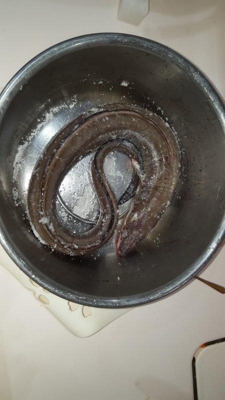 こんなん初めて！でも…