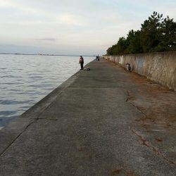 土曜の朝も堅調。タチウオ大型が増えてきました。