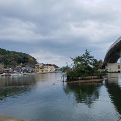 カレイのシーズン到来⁉