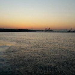 ケーソン、朝にタチウオの時合いありました。