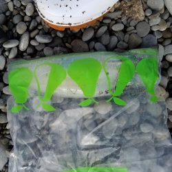 奥さんが主人公…