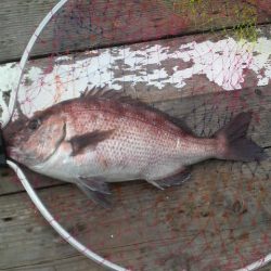 始め良ければ終わり良し