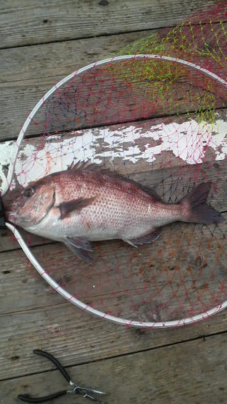 始め良ければ終わり良し