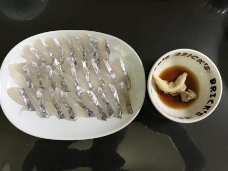太刀魚しか釣れなかった！