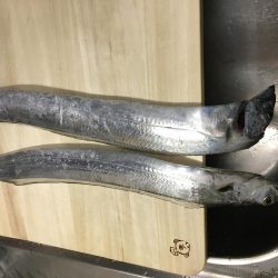 太刀魚 ワインド