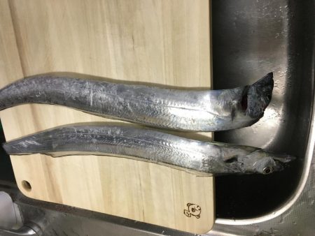 太刀魚 ワインド