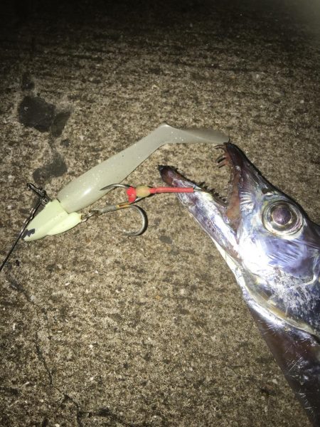 しゃくってダメならただ巻きだ!!