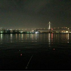 スローピッチアクションがどハマり‼︎‼︎