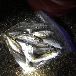 20171123曇雨晴霙