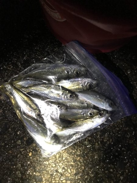 20171123曇雨晴霙