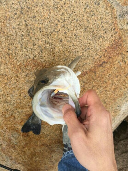 おだやかな天気でした