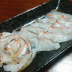 タイラバで脱走兵