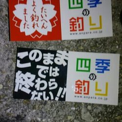 四季の釣りロケの横で…