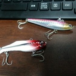 強風河口フィッシング