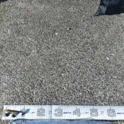 ケーソンで初の釣果