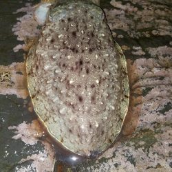 今シーズンラスト‼