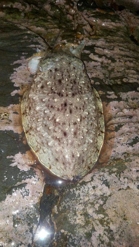 今シーズンラスト‼