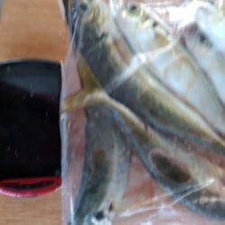 毒河豚からのー。