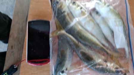 毒河豚からのー。