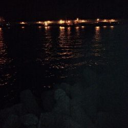 太刀魚釣り・・・渋かった(;´д｀)