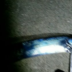 少し渋くなるも安定のタチウオ