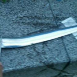 雨の中ドラゴンサイズ連発！！