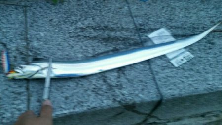 雨の中ドラゴンサイズ連発！！