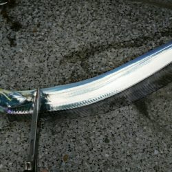 引き続きタチウオ好釣の湾奥